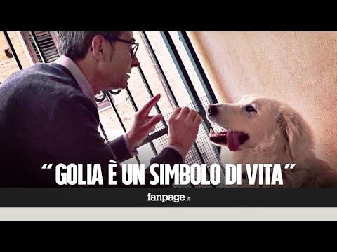 Se è possibile fare clisteri ogni giorno per perdere il peso Come perdere il peso su risposte di fame