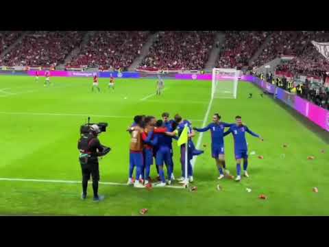 Rice and Grealish's perfect reactions to Hungary fans throwing cups at England's Sterling in 4-0