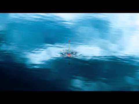 Hörspiel zum Mitmachen: Fisch im Wasser