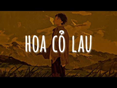 Hoa Cỏ Lau Lofi - Giữa Mênh Mang Đồi Hoa Cỏ Lau | Nhạc Lofi Chill Hot TikTok 2023