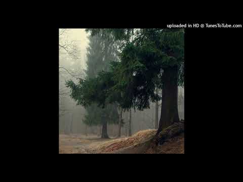 [FREE] PHARAOH x COLDSIEMENS x WHITE PUNK TYPE BEAT - Решение (prod. Delong)