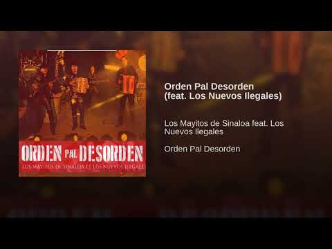 Los Mayitos De Sinaloa - Orden Pal Desorden (feat  Los Nuevos Ilegales)