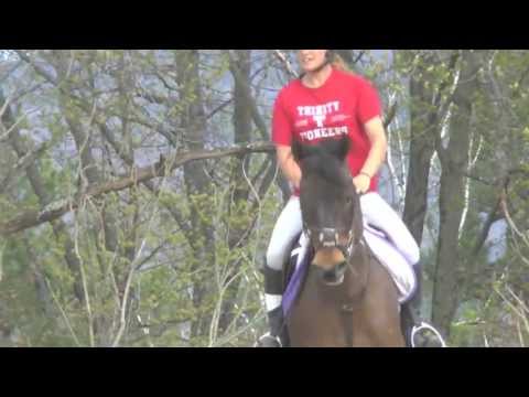 Apple Knoll Farm New Boston, NH Jumpers