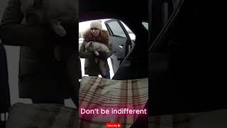 🦊❄️ CCTV Captures Woman Saving a Frozen Arctic Marble Fox on Highway #winter #youtubeshorts