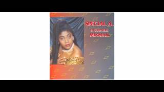 Special A. - Special A. Encounters Mixman - LP - Blakamix