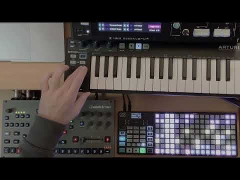 Oxi Oxi one MkI 2024 - Black image 4