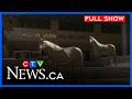 Calgary Councillors Under Investigation CTV Your Morning Calgary For March 25 2026