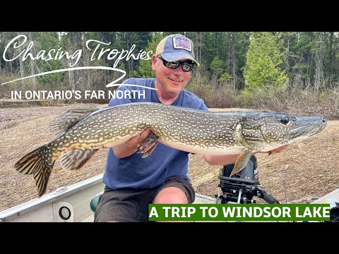 Chasing Trophies In Ontario's Far North - A Trip To Windsor Lake - YouTube