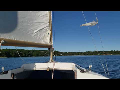 Quick video from Follins Pond