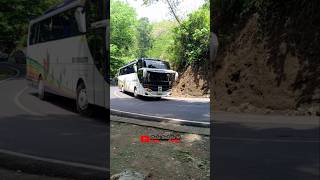 Download lagu Bus Pariwisata Surya Putra Sound Telolet mp3 Download lagu Bus Pariwisata Surya Putra Sound Telolet mp3