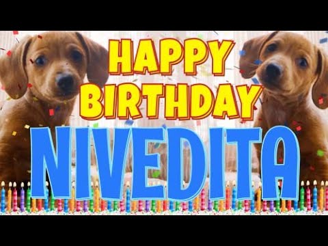Happy Birthday Nivedita! ( Funny Talking Dogs ) What Is Free On My Birthday