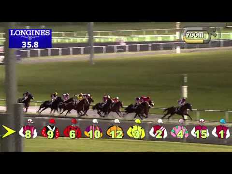 18.12.2013 Meydan (Dubai-UAE) 6.Race The Range Rover Evoque Trophy - Handicap 1.200 m