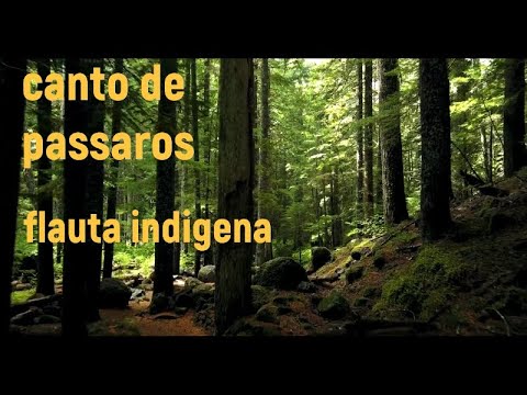 Relaxing Music-Bird Chant and Indian Flute, relax, sleep, meditate, calm your mind