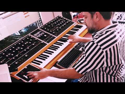 "Nude" by Radiohead cover played on a Moog One