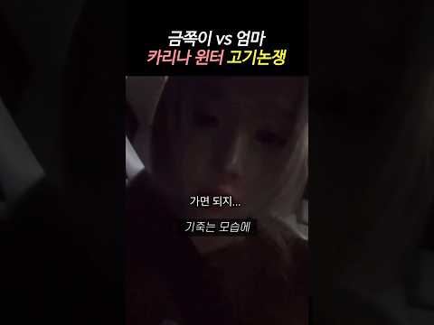 금쪽이 유사육아라는 카리나 윈터 고기논쟁
