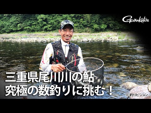 【G WORLD】#21 三重県尾川川の鮎 究極の数釣りに挑む！