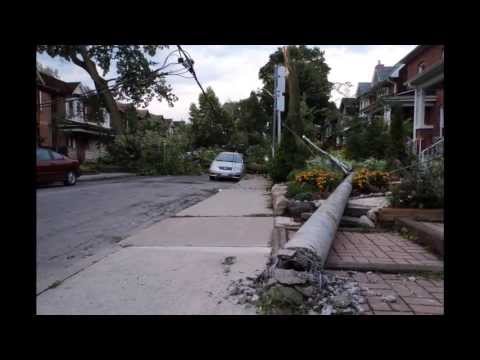 Leslieville Storm Aftermath 2013