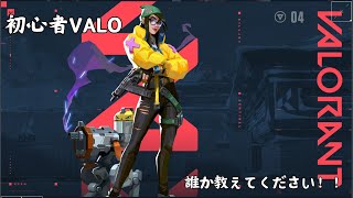【VALO】初心者VALORANT　有識者求