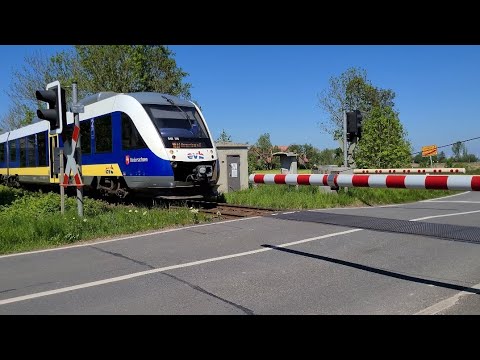 RB33 nach Bremerhaven Hbf fährt durch Bahnübergang Barwarderweg, Imsum, bei sonnigen Wetter