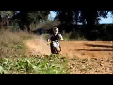 ZIDREXTEAM MX LAPA #777