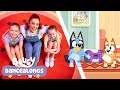 Bluey Lollipop Yum Yum Yum Dance Routine And Tutorial Bluey Dancealongs 🪩 Bluey