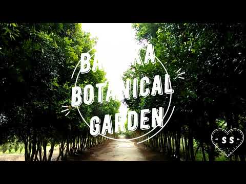 Siti Saleha Vlog, Inspiring New Ways to Tongaci Beach, Terentang Beach and BBG