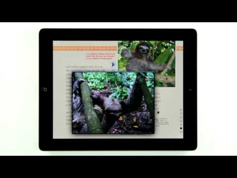 Spider Kids Magazine