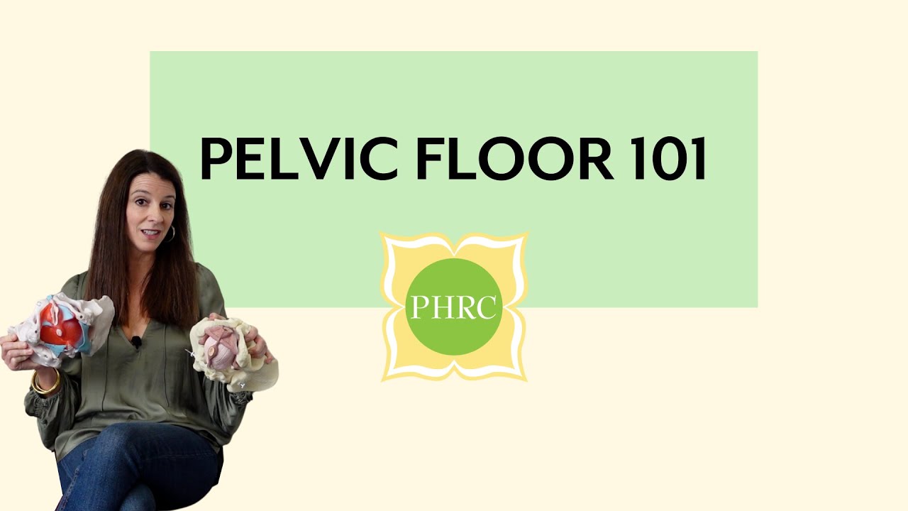 An Introduction to Your Pelvic Floor | Pelvic Health & Rehabilitation Center
