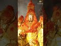 Chakra Snanam On The Final Day Of The Annual Brahmotsavam In Tirumala Tirumalahills Tirumala