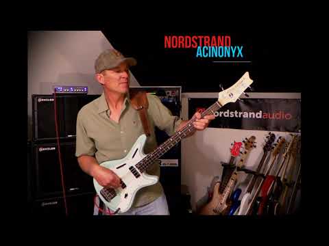 Nordstrand Acinonyx "Cat Bass" (short scale) Andy Irvine