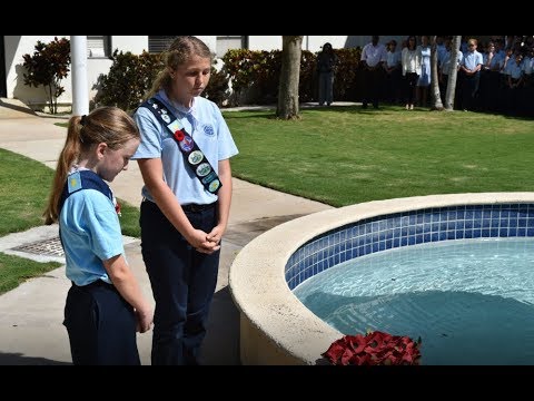 download lagu mp3 mp4 St Ignatius Cayman School, download lagu St Ignatius Cayman School gratis, unduh video klip St Ignatius Cayman School