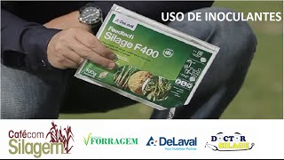 Uso de inoculantes para redução de perdas