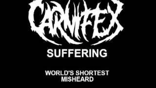 Carnifex - Suffering (world's shortest misheard lyrics)