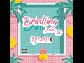 DRINKING JAMZ 3 0 DJ LARKX