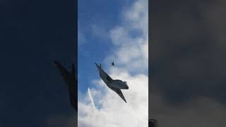 F-23Aを撃墜する空自F-15J戦闘機【DCSWorld】