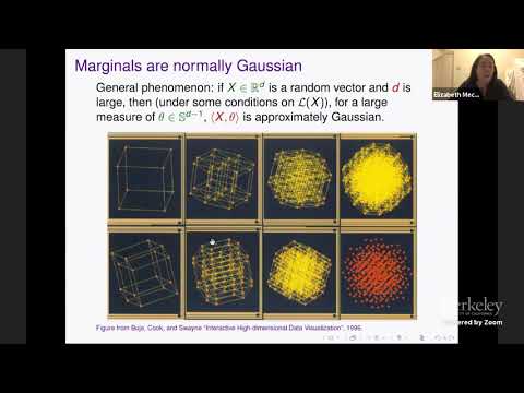 Projections of Probability Distributions: A Measure-Theoretic Dvoretzky Theorem