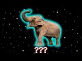 8 Elephant Sound Variations In 45 Seconds Luxury Sound Effects