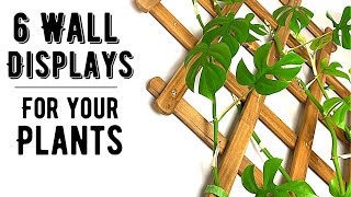 6 Ways To Display Houseplants On Your Walls
