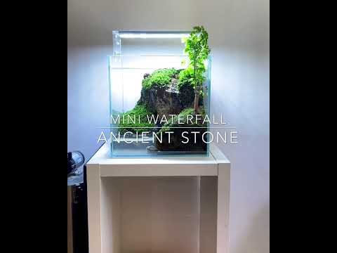 Waterfall aquarium terrarium with Ancient Stone