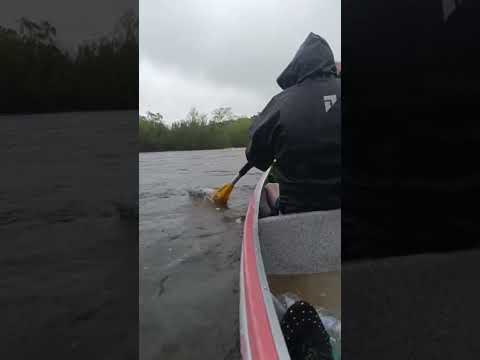 travesía polanco del yi durazno, 2025 #canoa #rio #canotaje