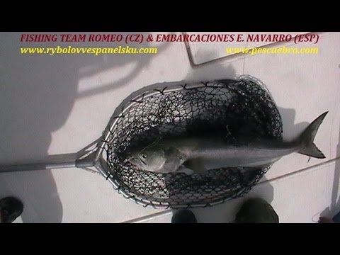 Lov tuňáků a blue fishí v deltě El Ebro a Středozemním moři