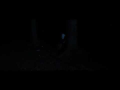 High 5 Hood - 0815 (Beat von DopeLineBeatz)