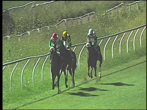 Galoppo 13/08/2016 - 1° corsa