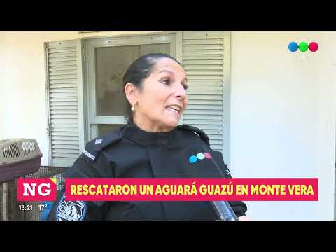 En Monte Vera encontraron un aguará guazú en el garage de una vivienda