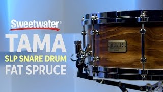 TAMA SLP Fat Spruce Snare Drum Review