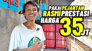 Download lagu Review MATERI TERNAK‼️Pakai pejantan RASMI PRESTASI harga 35jt... mp3 Download lagu Review MATERI TERNAK‼️Pakai pejantan RASMI PRESTASI harga 35jt... mp3