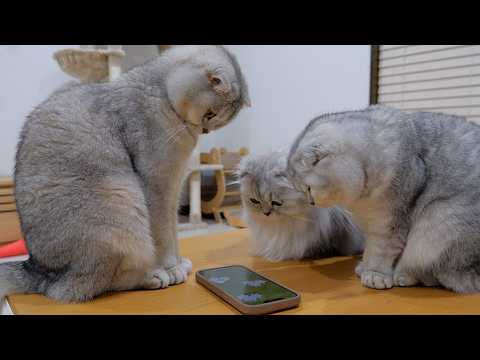 YouTube 썸네일