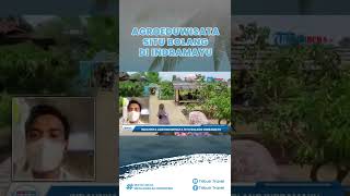 Berwisata Seru di Kebun Agroeduwisata Situ Bolang Indramayu, Sembari Belajar Sektor Pertanian