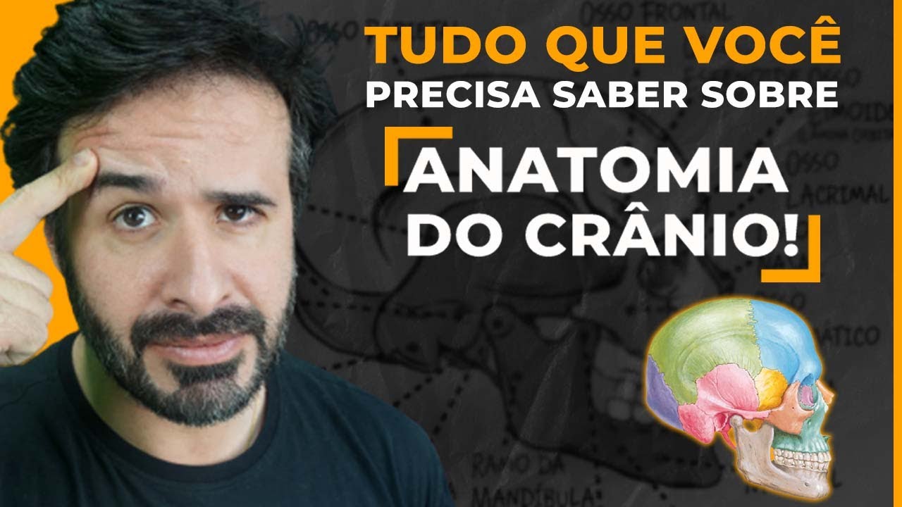 TUDO QUE VOCÊ PRECISA SABER SOBRE ANATOMIA DO CRÂNIO!