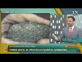 ¿Por Qué Falta La Leche En Los Precios Cuidados Y Aumenta La Yerba A $150 El Kilo? | +INFO Por LN+
